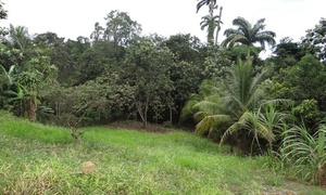 &copy; guadeloupe.fr