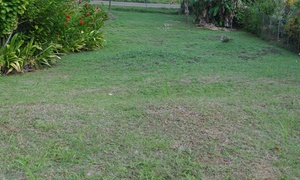 &copy; guadeloupe.fr