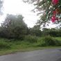 Terrain  - 1770 m²  - Sainte Rose en Guadeloupe