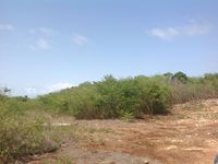 Terrain  - 1780 m²  - Le Moule en Guadeloupe
