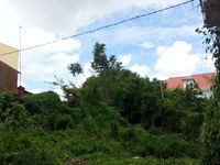 Terrain  - 196 m²  - Pointe à Pitre en Guadeloupe