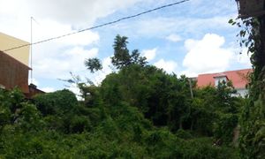 © guadeloupe.fr