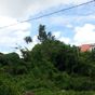 Terrain  - 196 m²  - Pointe à Pitre en Guadeloupe