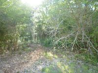 Terrain  - 2202 m²  - Le Gosier en Guadeloupe