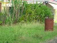 Terrain  - 2300 m²  - Lamentin en Guadeloupe