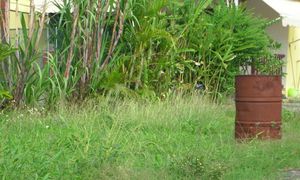 &copy; guadeloupe.fr
