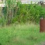 Terrain  - 2300 m²  - Lamentin en Guadeloupe