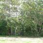 Terrain  - 2345 m²  - Lamentin en Guadeloupe