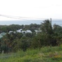 Terrain  - 2400 m²  - Sainte Rose en Guadeloupe