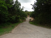 Terrain  - 2443 m²  - Sainte Rose en Guadeloupe