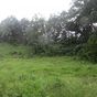 Terrain  - 2453 m²  - Sainte Rose en Guadeloupe