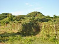 Terrain  - 2500 m²  - Le Moule en Guadeloupe