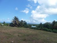 Terrain  - 2500 m²  - Sainte Rose en Guadeloupe