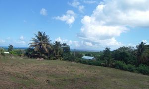 &copy; guadeloupe.fr