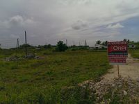 Terrain  - 3000 m²  - Le Moule en Guadeloupe
