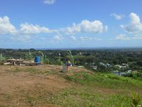 Terrain  - 3800 m²  - Sainte Rose en Guadeloupe