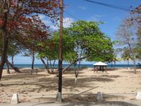 Terrain  - 4615 m²  - Sainte Rose en Guadeloupe