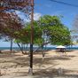 Terrain  - 4615 m²  - Sainte Rose en Guadeloupe