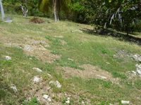 Terrain  - 500 m²  - Le Gosier en Guadeloupe