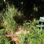 Terrain  - 500 m²  - Les Abymes en Guadeloupe