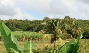 &copy; guadeloupe.fr