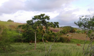 &copy; guadeloupe.fr