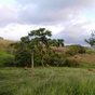 Terrain  - 5340 m²  - Sainte Rose en Guadeloupe