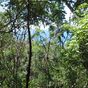 Terrain  - 5535 m²  - Deshaies en Guadeloupe