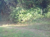 Terrain  - 623 m²  - Port Louis en Guadeloupe