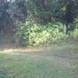 Terrain  - 623 m²  - Port Louis en Guadeloupe