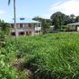 Terrain  - 652 m²  - Sainte Rose en Guadeloupe