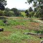 Terrain  - 7445 m²  - Petit Bourg en Guadeloupe