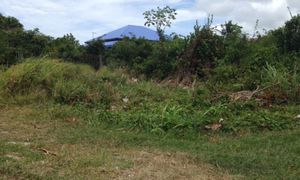&copy; guadeloupe.fr