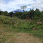 Terrain  - 745 m²  - Marie Galante - Capesterre en Guadeloupe