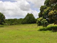 Terrain  - 800 m²  - Marie Galante - Grand Bourg en Guadeloupe