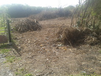 Terrain  - 800 m²  - Petit Canal en Guadeloupe