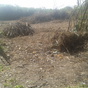 Terrain  - 800 m²  - Petit Canal en Guadeloupe