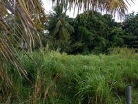 Terrain  - 830 m²  - Les Abymes en Guadeloupe