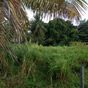 Terrain  - 830 m²  - Les Abymes en Guadeloupe