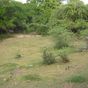 Terrain  - 844 m²  - Le Moule en Guadeloupe
