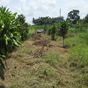 Terrain  - 850 m²  - Sainte Rose en Guadeloupe
