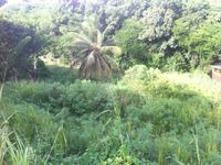 Terrain  - 854 m²  - Le Gosier en Guadeloupe