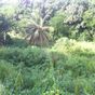 Terrain  - 854 m²  - Le Gosier en Guadeloupe
