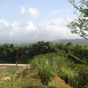Terrain  - 860 m²  - Lamentin en Guadeloupe