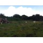 Terrain  - 891 m²  - Saint François en Guadeloupe