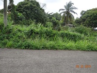 Terrain  - 900 m²  - Sainte Rose en Guadeloupe