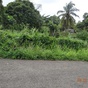 Terrain  - 900 m²  - Sainte Rose en Guadeloupe