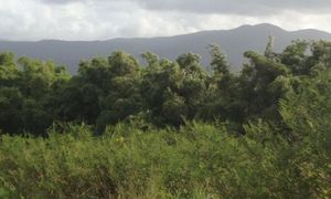 &copy; guadeloupe.fr