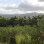Terrain  - 906 m²  - Lamentin en Guadeloupe