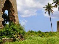 Terrain  - 923 m²  - Marie Galante - Grand Bourg en Guadeloupe